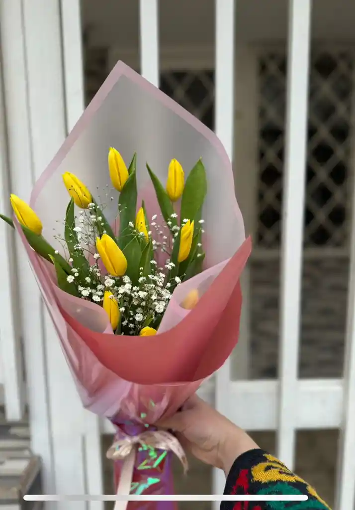 Tulipanes Amarillos