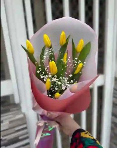Tulipanes Amarillos