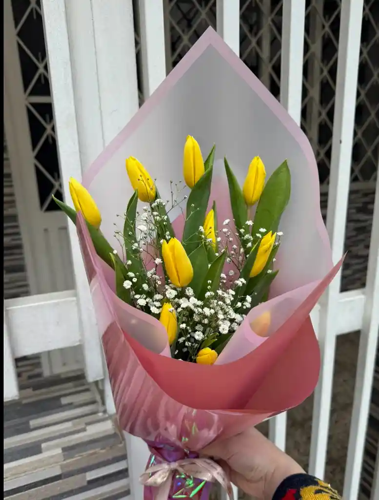 Tulipanes Amarillos