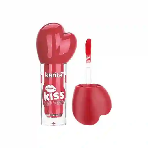 Tinta Labios Tono Surtido Ref 71333-47