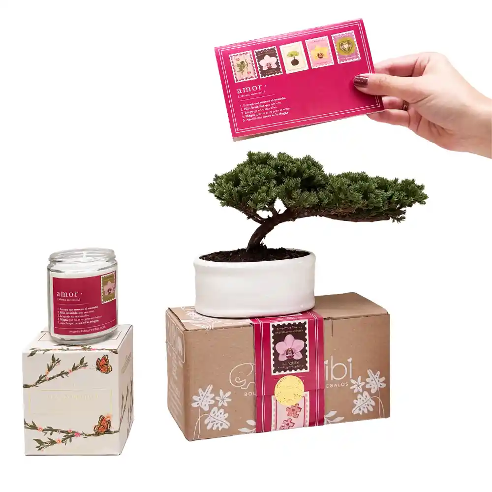 Kit Amor Y Amistad Cartas De Amor