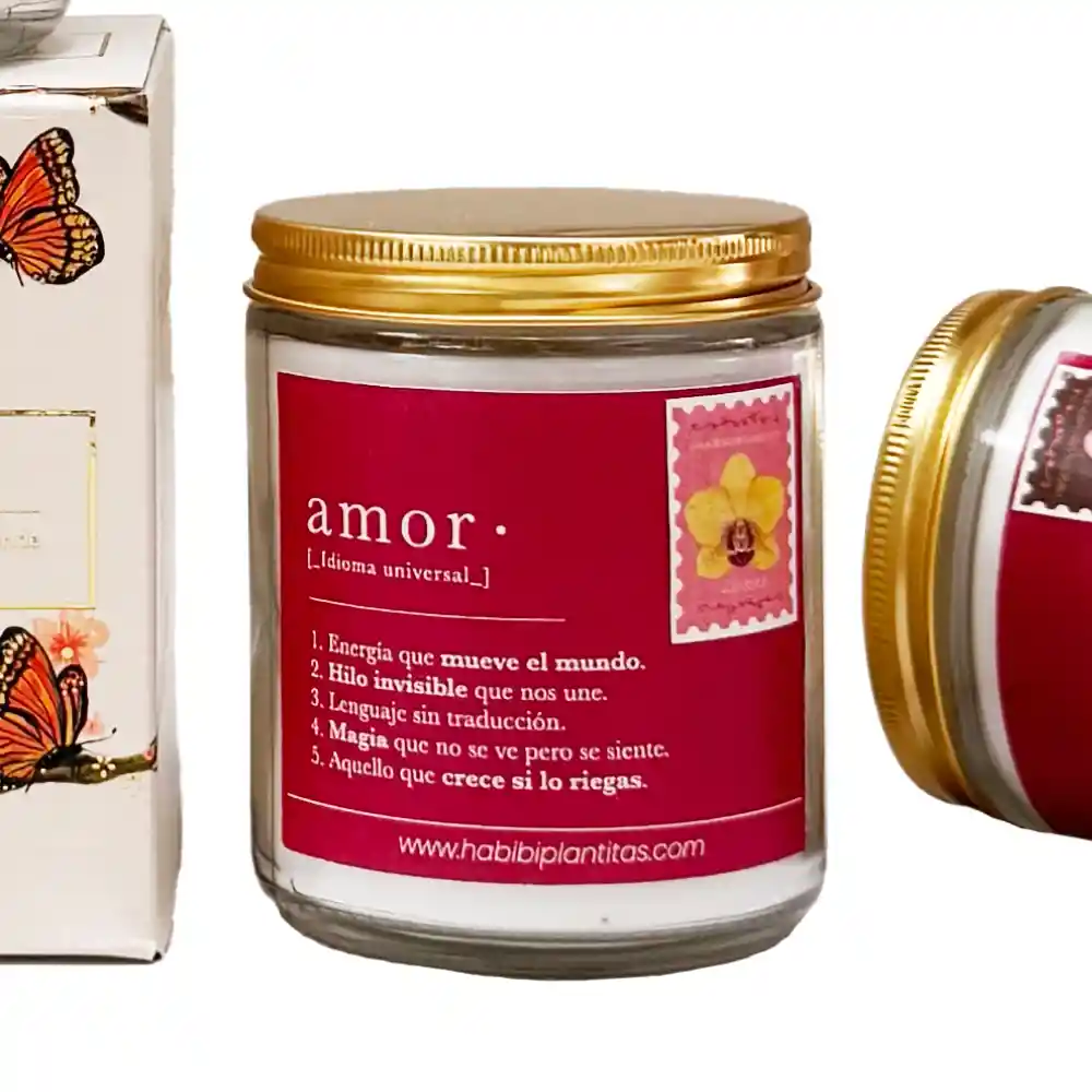 Kit Amor Y Amistad Las Formas Del Amor