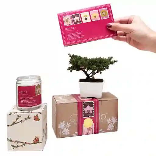 Kit Amor Y Amistad Las Formas Del Amor