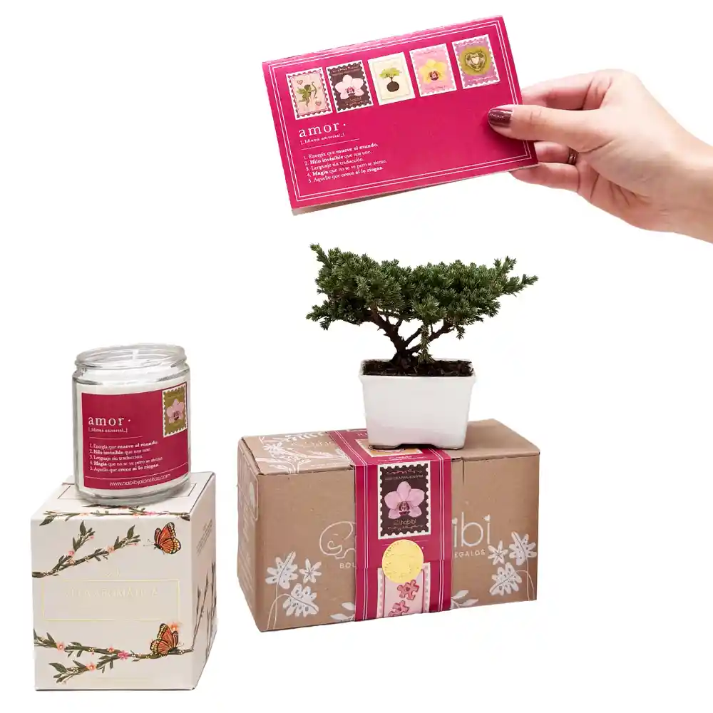 Kit Amor Y Amistad Las Formas Del Amor