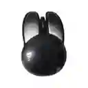 Mouse Optico Inalambrico Silencioso De Conejo Negro Mofii M6dm