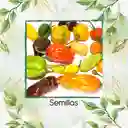 400 Semillas Orgánicas De Ají Habanero Colores