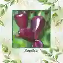 400 Semillas Orgánicas De Ají Habanero Morado