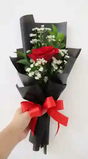 Rosa Para Encantar