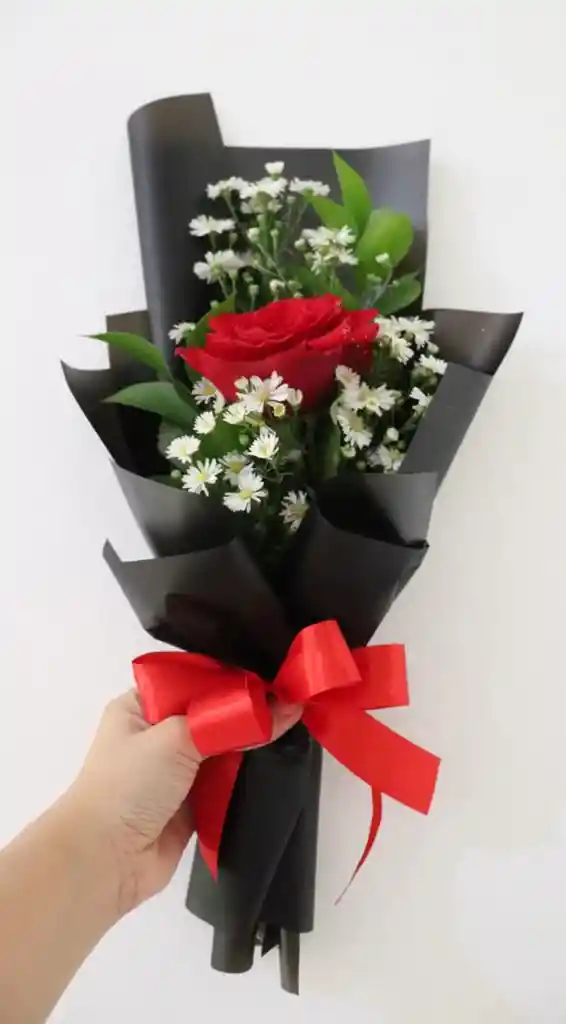 Rosa Para Encantar