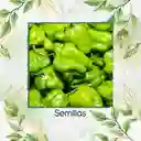 20 Semillas Orgánicas De Ají Habanero Verde