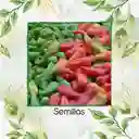 300 Semillas Orgánicas De Ají Topito