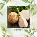 200 Semillas Orgánicas De Apio Nabo Gigante De Praga