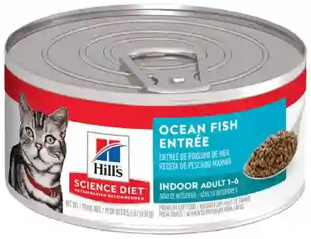 Alimento Húmedo Para Gato Adulto Hill’s Indoor, De 1 A 6 Años, Sabor Pescado Marino, 156 G.