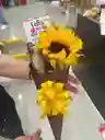Girasol Ferrero