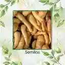 400 Semillas Orgánicas De Arracacha