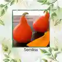 20 Semillas Orgánicas De Auyama Japonesa Baby Roja