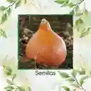 40 Semillas Orgánicas De Auyama Japonesa Baby Roja