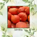 200 Semillas Orgánicas De Auyama Japonesa Baby Roja