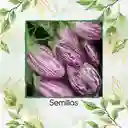 80 Semillas Orgánicas De Berenjena Pandora Rosa