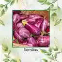 800 Semillas Orgánicas De Berenjena Pandora Rosa