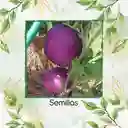 360 Semillas Orgánicas De Berenjena Redonda Lila