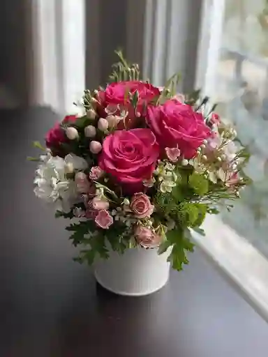 Caja Rosas Fucsia En Base Blanca
