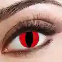 Lentes Contacto Hallowen Diferentes Diseños
