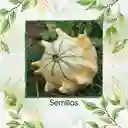 5 Semillas Orgánicas De Calabaza Corona De Espinas