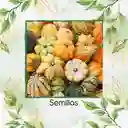 20 Semillas Orgánicas De Calabaza Corona De Espinas