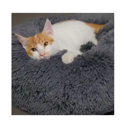 Cama Mascotas Dona Peluche Mediana + Eco Juguete Obsequio