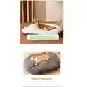 Cama Ovalada Extragrande Para Mascotas Perro + Ecojuguete