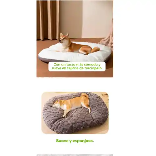 Cama Ovalada Extragrande Para Mascotas Perro + Ecojuguete