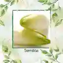 20 Semillas Orgánicas De Endivia