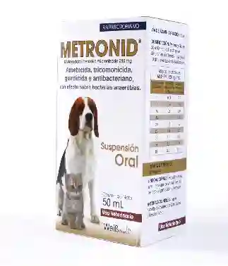 Metronid X 50 Ml