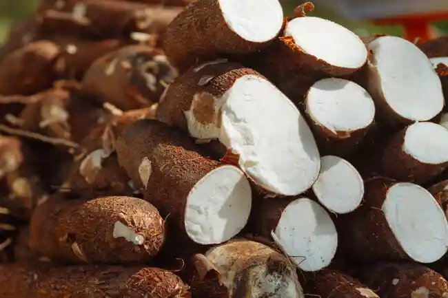Yuca 500 Gr