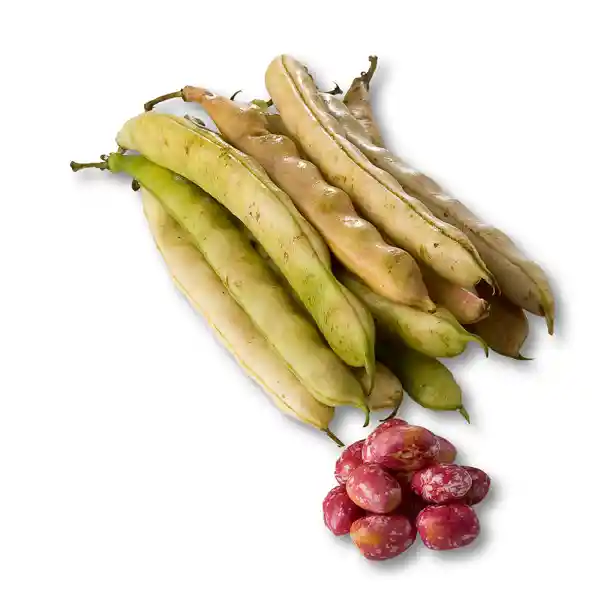 Frijol En Cascara 500 Gr