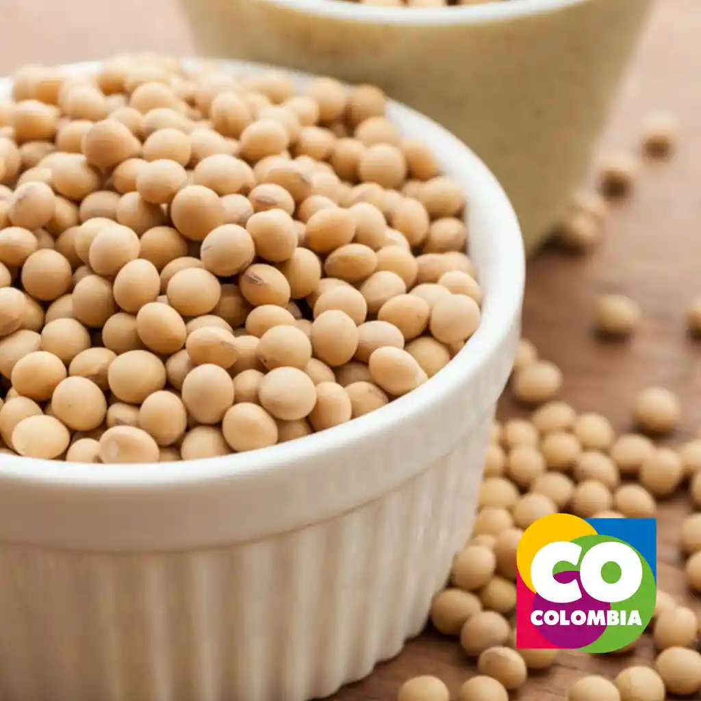 Frijol De Soya 500gr