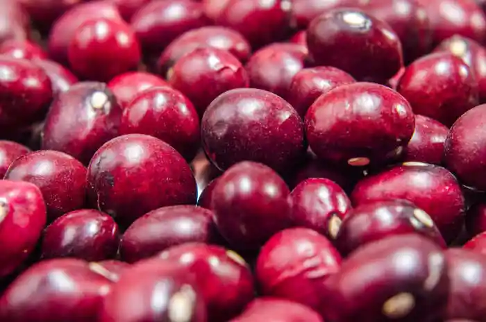 Frijol Bola Roja 500 Gr