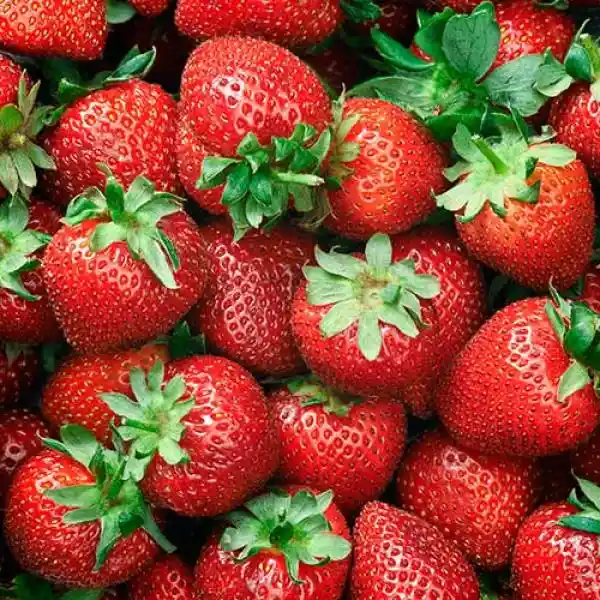 Fresas Yumbo 500 Gr