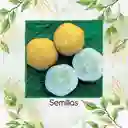 40 Semillas Orgánicas De Pepino Limón