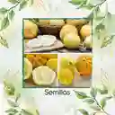 800 Semillas Orgánicas De Pepino Limón