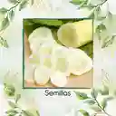 800 Semillas Orgánicas De Pepino Wonder Blanco