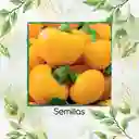 18 Semillas Orgánicas De Pimentón Cherry Amarillo Y Otros Mix