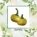 35 Semillas Orgánicas De Pimentón Cherry Amarillo Y Otros Mix