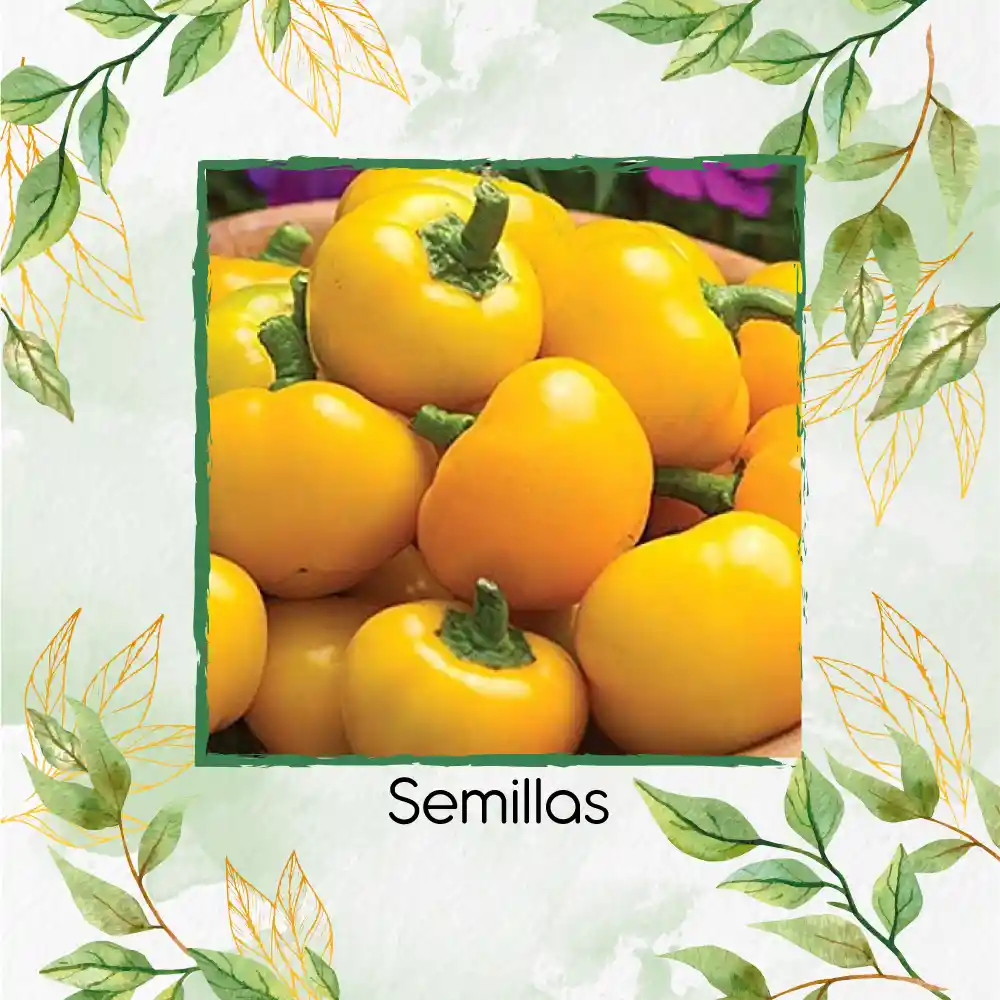 70 Semillas Orgánicas De Pimentón Cherry Amarillo Y Otros Mix