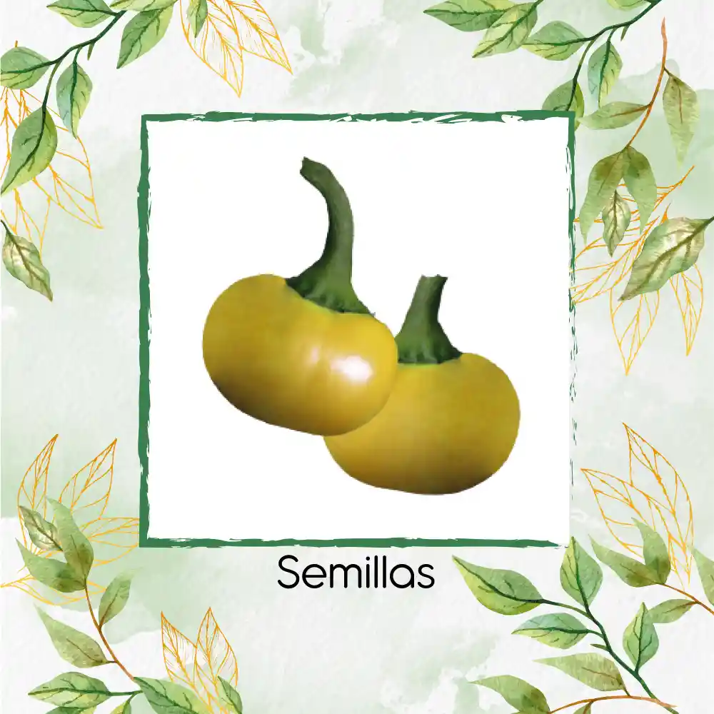 700 Semillas Orgánicas De Pimentón Cherry Amarillo Y Otros Mix