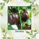 350 Semillas Orgánicas De Pimentón Cherry Chocolate