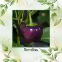 1.400 Semillas Orgánicas De Pimentón Cherry Morado