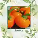 35 Semillas Orgánicas De Pimentón Cherry Naranja Y Otros Mix