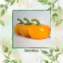 350 Semillas Orgánicas De Pimentón Cherry Naranja Y Otros Mix